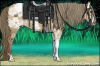 Horse Color:Liver Red Dun Ice Appaloosa