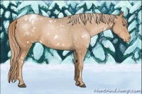 Horse Color:White Spotted Liver Chestnut Pearl Varnish
