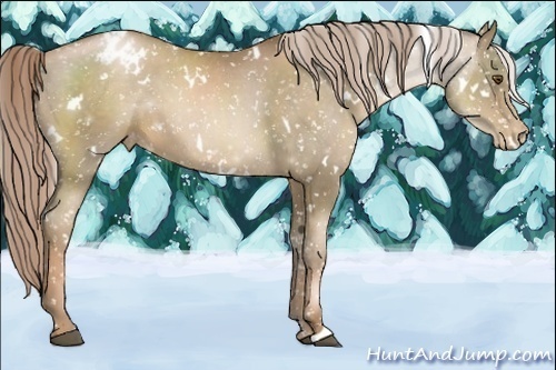 Horse Color:White Spotted Liver Chestnut Pearl Snowcap 
