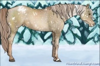 Horse Color:White Spotted Liver Chestnut Pearl Snowcap 