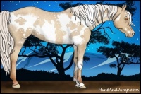 Horse Color:Silver Classic Champagne Frame Varnish Rabicano