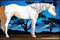 Horse Color:Classic Champagne Roan Pearl Splash Tobiano Frame Rabicano 