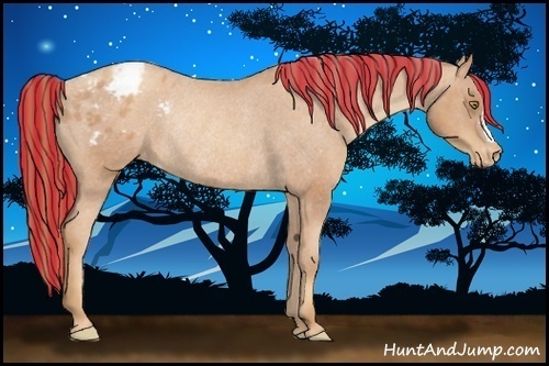 Horse Color:Painted Gold Champagne Varnish Rabicano 