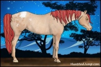 Horse Color:Painted Gold Champagne Varnish Rabicano