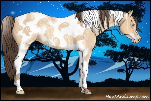 Horse Color:Amber Champagne Ice Sabino Tobiano Frame Rabicano 