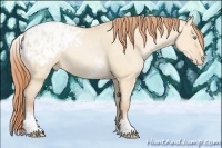 Horse Color:White Spotted Buckskin Pearl Dun Sabino Appaloosa Rabicano