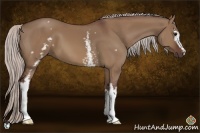 Horse Color:White Spotted Chocolate Silver Brown Dun