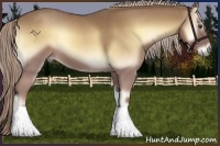 Horse Color:Palomino Onyx