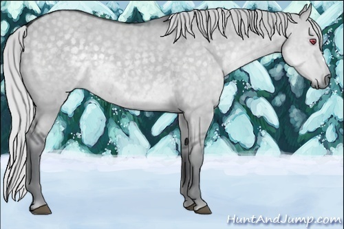 Horse Color:Silver Grullo Chinchilla 