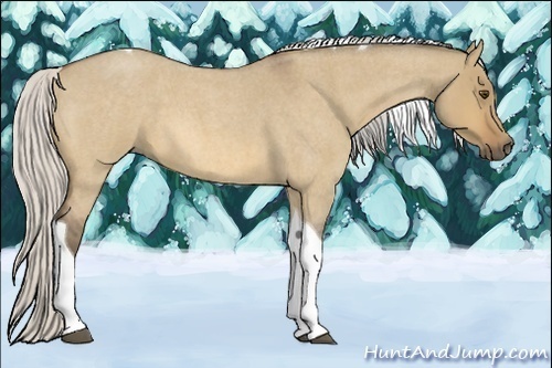 Horse Color:Silver Buckskin Roan Dun Tobiano 