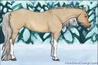 Horse Color:Silver Buckskin Roan Dun Tobiano 