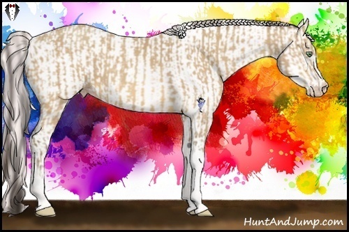 Horse Color:Amber Cream Champagne Tobiano and Perlino Roan