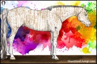Horse Color:Amber Cream Champagne Tobiano and Perlino Roan