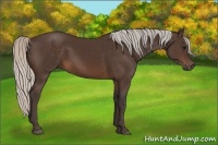 Horse Color:Silver Brown 