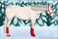 Horse Color:Perlino