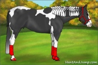 Horse Color:Black Splash Tobiano