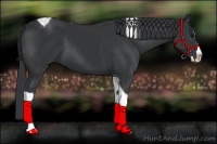 Horse Color:Black Splash Tobiano