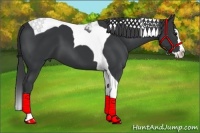 Horse Color:Black Splash Tobiano