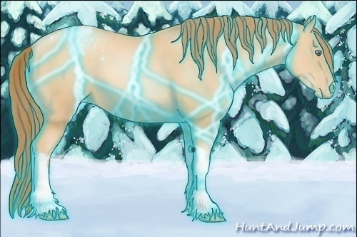 Horse Color:Thunderstruck Sable Champagne Pearl Tobiano Blanket