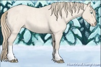 Horse Color:Perlino Roan 