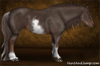 Horse Color:White Spotted Liver Chestnut Sabino 