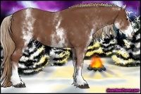 Horse Color:White Spotted Chestnut Sabino 