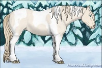 Horse Color:Perlino Roan Tobiano 