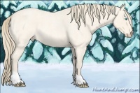 Horse Color:Perlino Roan 