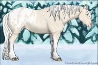 Horse Color:Cremello Tobiano Blanket 