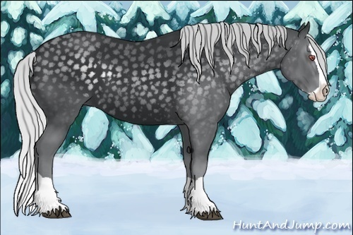 Horse Color:Silver Black Chinchilla Splash