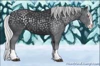 Horse Color:Silver Black Chinchilla Splash