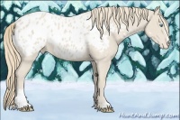 Horse Color:Smoky Creme Sabino Appaloosa 