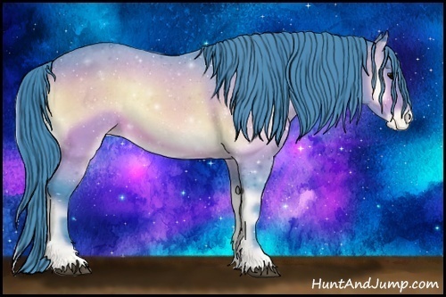 Horse Color:Watercolor Bay Onyx Appaloosa 