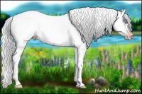 Horse Color:Gray Silver Amber Cream Champagne Roan Dun Splash Tobiano Frame Varnish Rabicano 