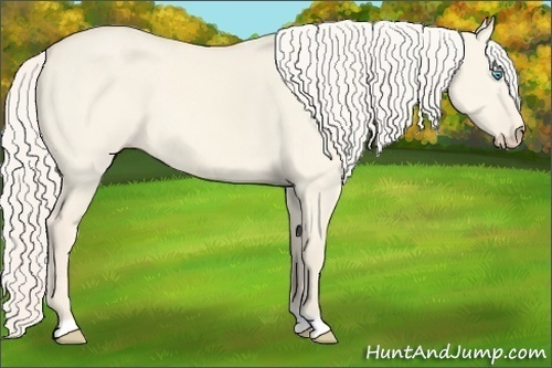 Horse Color:Cremello Dun 