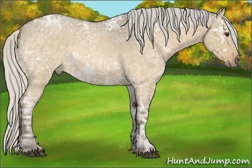 Horse Color:Silver Buckskin Ice Roan Dun