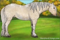 Horse Color:Silver Buckskin Ice Roan Dun 