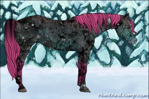 Horse Color:ERROR: UNKNOWN ANOMALY