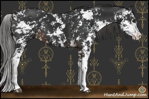 Horse Color:Liver Chestnut Sabino 