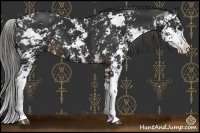 Horse Color:Liver Chestnut Sabino 