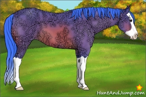 Horse Color:Watercolor Bay Ice Splash