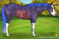 Horse Color:Watercolor Bay Ice Splash