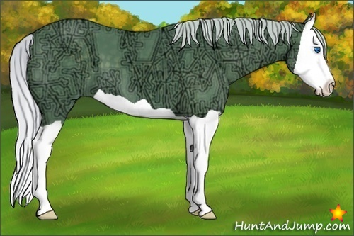 Horse Color:Watercolor Silver Black Ice Splash 