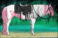 Horse Color:Watercolor Liver Chestnut Tobiano Rabicano 