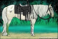 Horse Color:Watercolor Silver Brown Chinchilla Dun Appaloosa 