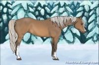 Horse Color:White Spotted Silver Buckskin 