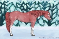 Horse Color:Watercolor White Spotted Liver Chestnut Sabino 