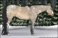Horse Color:Brown Ice Dun
