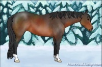 Horse Color:Brown 