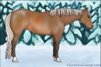 Horse Color:Silver Brown 